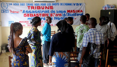 La VSV et l'Asadho favorables à la mise en place d'un tribunal spécialisé en RDC